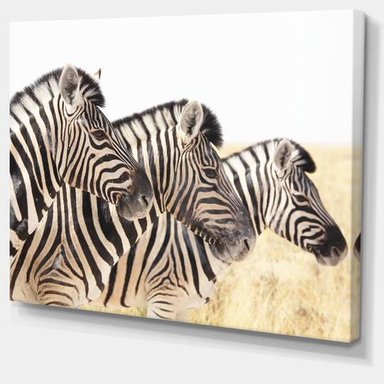 Designart - Zebras in A Row in Grassland